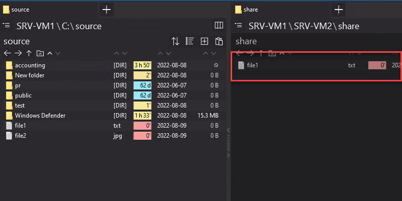 copy file type